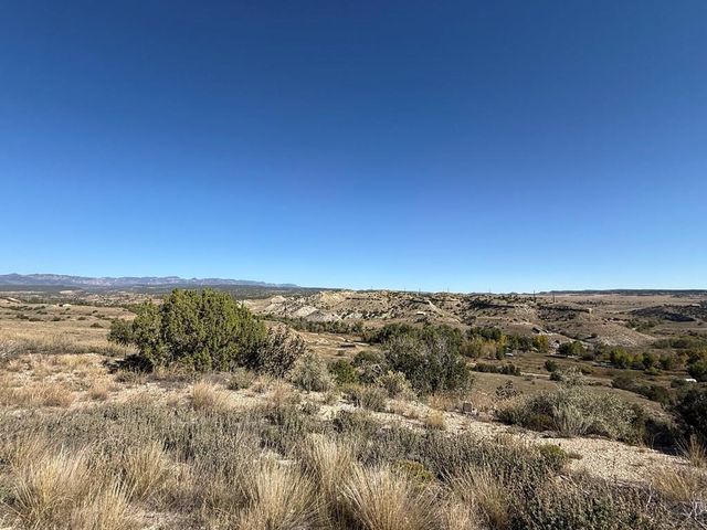 1574 4th St, Penrose, CO 81240