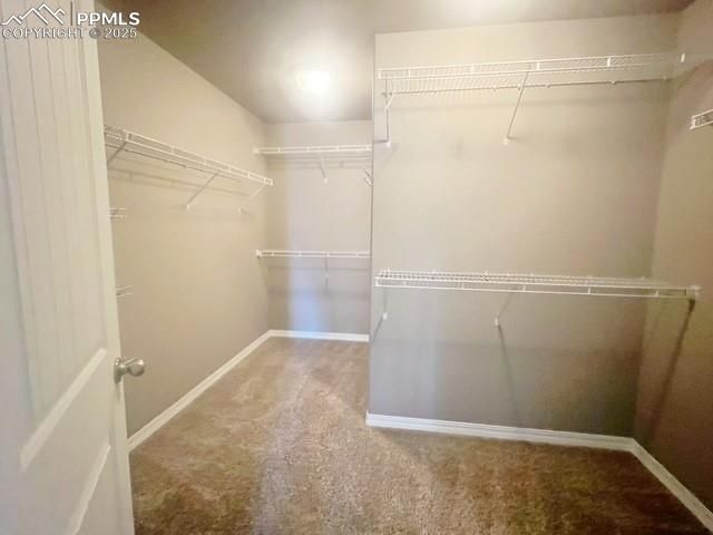 7572 Calm Oasis Place, Colorado Springs, CO 80922