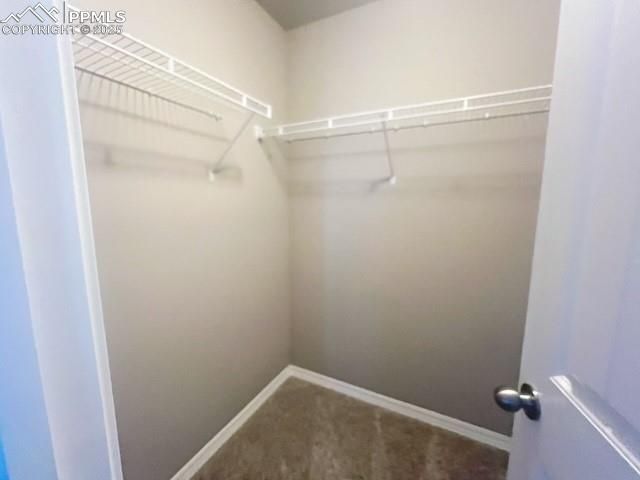 7572 Calm Oasis Place, Colorado Springs, CO 80922