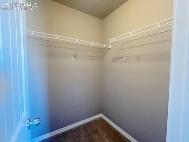 7572 Calm Oasis Place, Colorado Springs, CO 80922