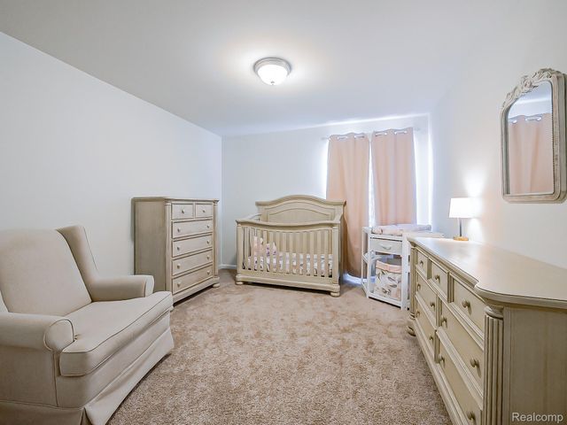 24503 Scenic Drive, Lyon Charter Township, MI 48178