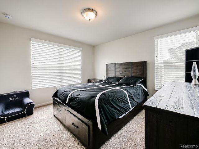 24503 Scenic Drive, Lyon Charter Township, MI 48178