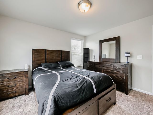 24503 Scenic Drive, Lyon Charter Township, MI 48178