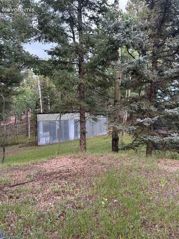 53 Iris Road, Woodland Park, CO 80863