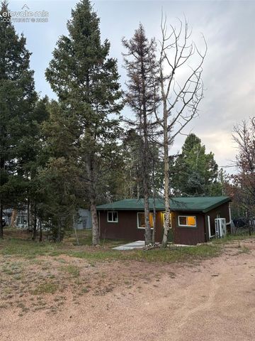 53 Iris Road, Woodland Park, CO 80863
