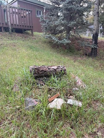 53 Iris Road, Woodland Park, CO 80863