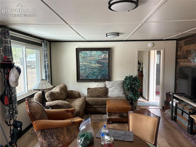 53 Iris Road, Woodland Park, CO 80863