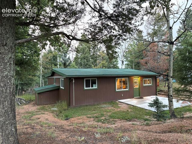 53 Iris Road, Woodland Park, CO 80863