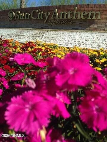 4424 N POTOMAC Drive, Florence, AZ 85132