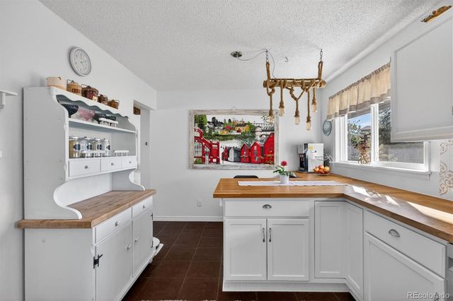 13347 S Otoe Street, Pine, CO 80470