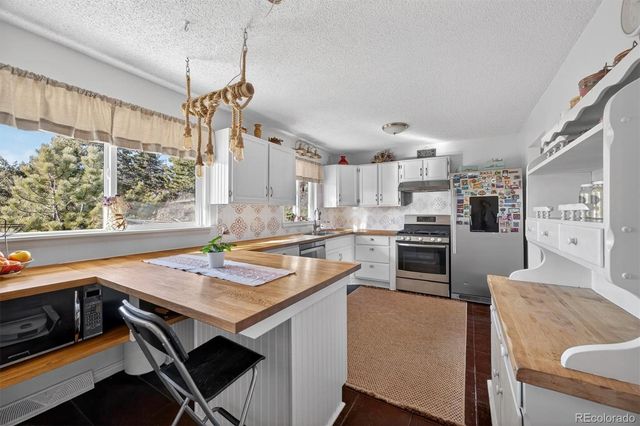 13347 S Otoe Street, Pine, CO 80470