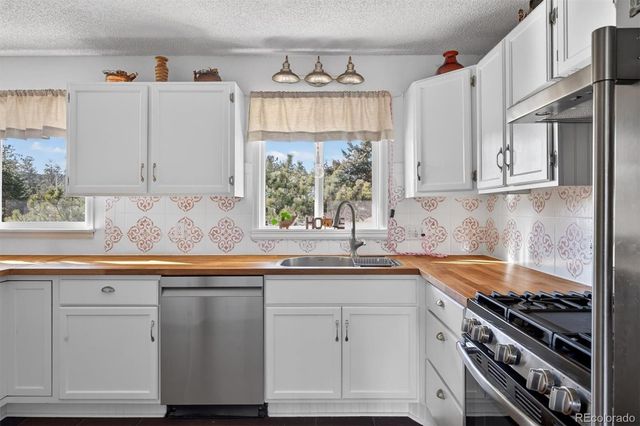 13347 S Otoe Street, Pine, CO 80470