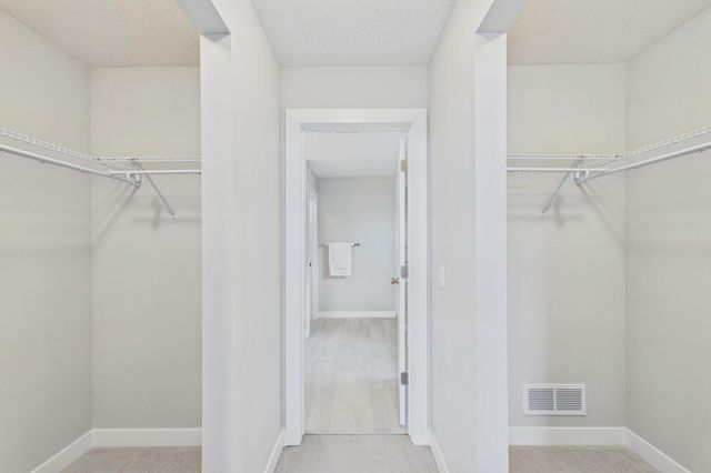 6344 Red Cedar Drive, Chaska, MN 55318