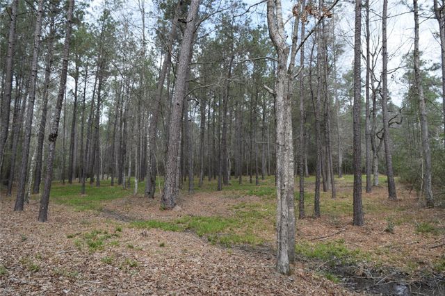 309 Exploration Road, Willis, TX 77378