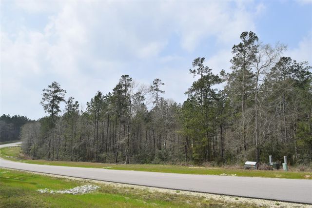309 Exploration Road, Willis, TX 77378