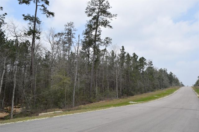 309 Exploration Road, Willis, TX 77378