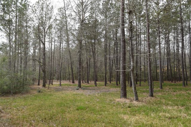 309 Exploration Road, Willis, TX 77378