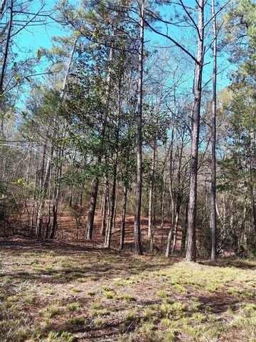 309 Exploration Road, Willis, TX 77378