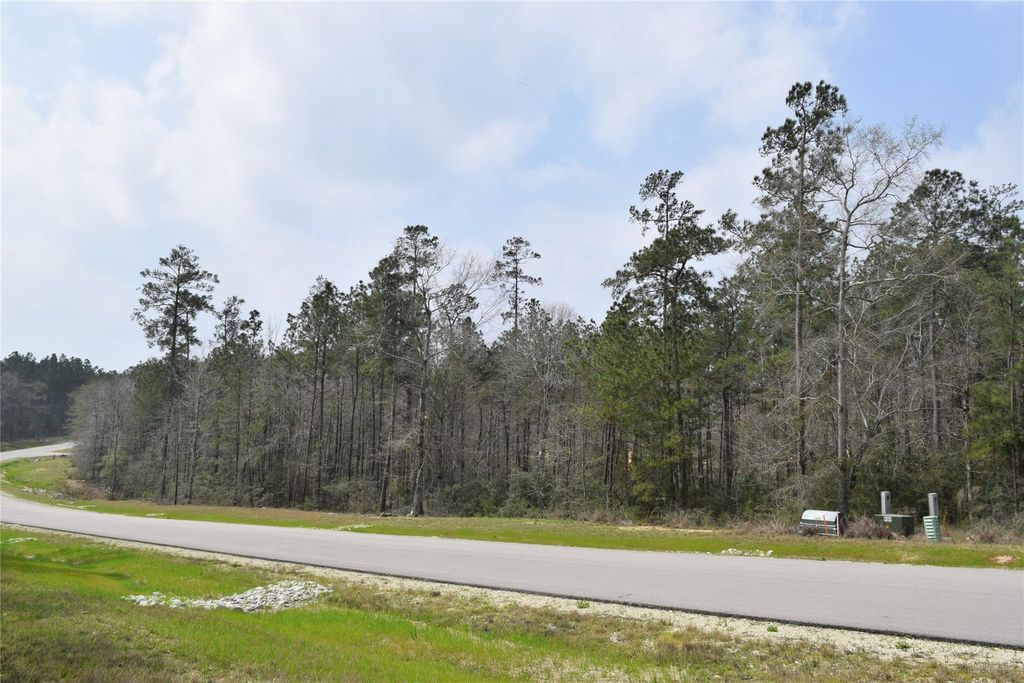 309 Exploration Road, Willis, TX 77378