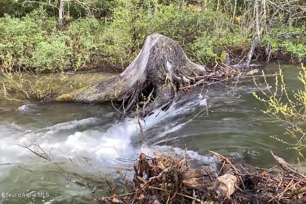 NKA Jenny Lane, Sandpoint, ID 83864 photo 11