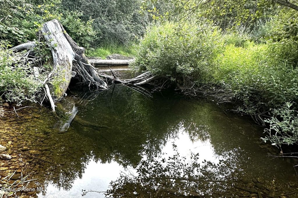 NKA Jenny Lane, Sandpoint, ID 83864 photo 16