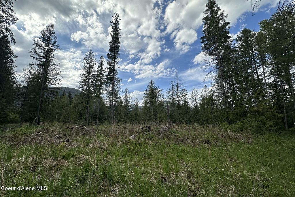 NKA Jenny Lane, Sandpoint, ID 83864 photo 25