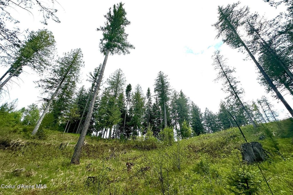 NKA Jenny Lane, Sandpoint, ID 83864 photo 26