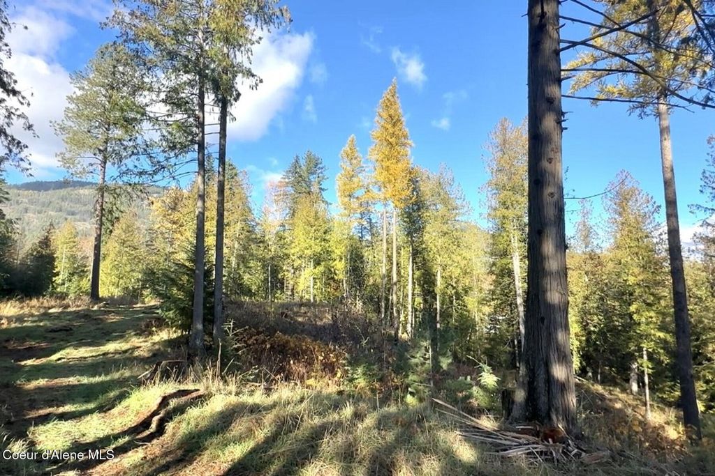 NKA Jenny Lane, Sandpoint, ID 83864 photo 27