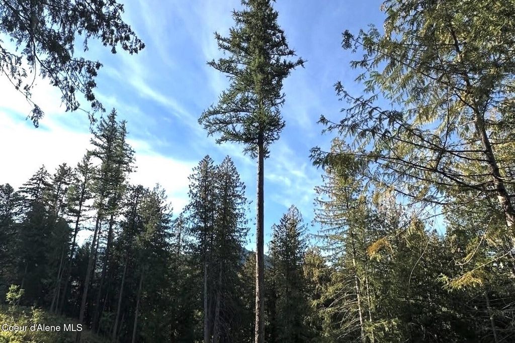 NKA Jenny Lane, Sandpoint, ID 83864 photo 29