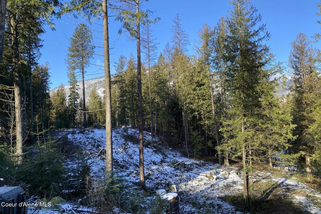 NKA Jenny Lane, Sandpoint, ID 83864 photo 31