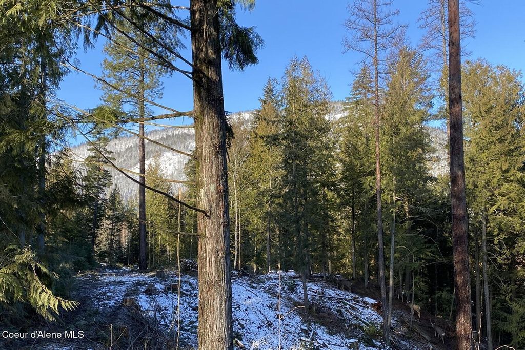 NKA Jenny Lane, Sandpoint, ID 83864 photo 32