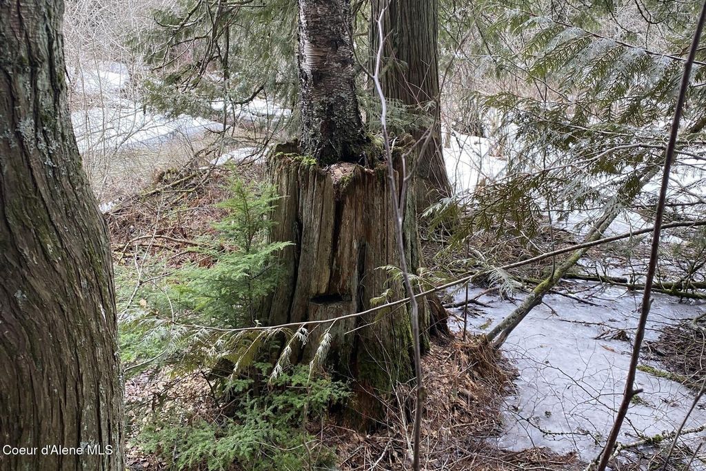 NKA Jenny Lane, Sandpoint, ID 83864 photo 37