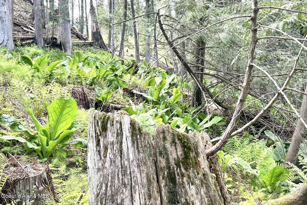 NKA Jenny Lane, Sandpoint, ID 83864 photo 38