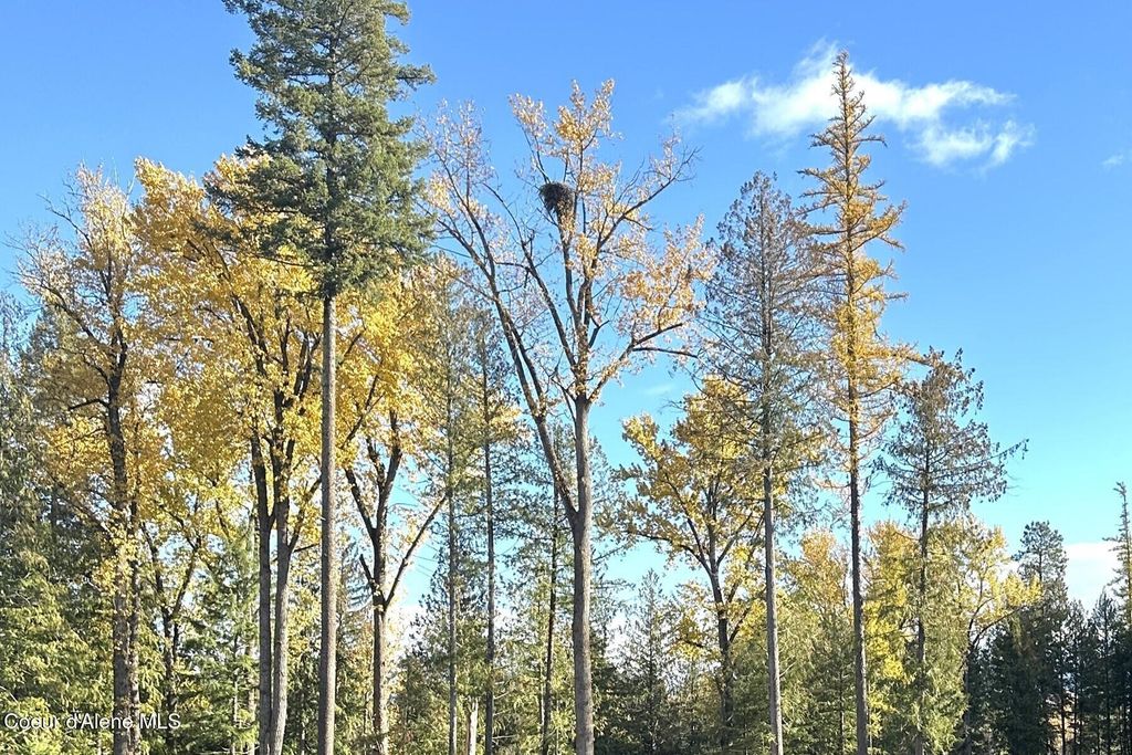 NKA Jenny Lane, Sandpoint, ID 83864 photo 5