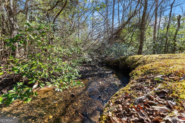4960 Laurel Lodge Road 1, Clarkesville, GA 30523