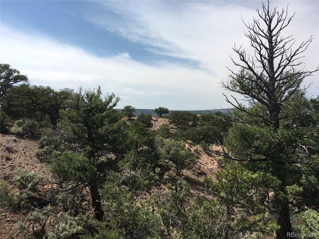 123 Scheffellin, Fort Garland, CO 81133