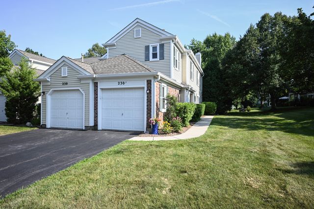 230 University Lane, Elk Grove Village, IL 60007