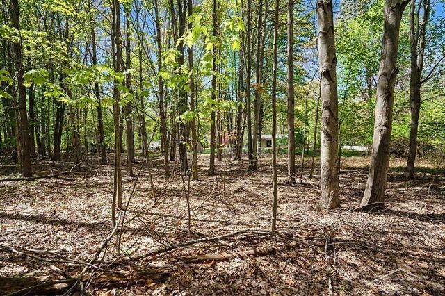 778 E Pine River Road, Homer Twp, MI 48640