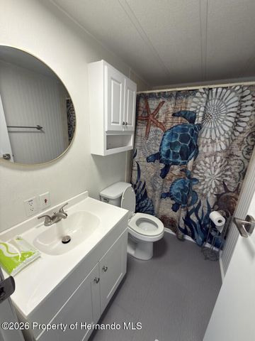 16131 Brookridge Boulevard, Brooksville, FL 34613