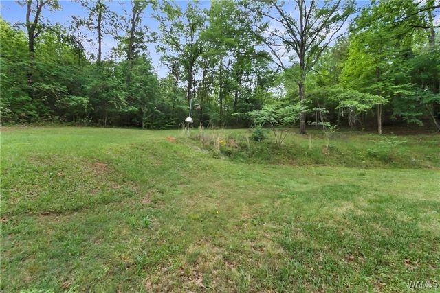 2138 Montevallo, Centreville, AL 35042