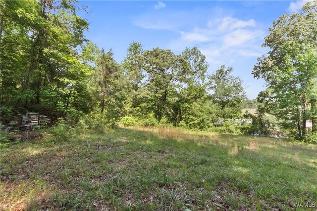 2138 Montevallo, Centreville, AL 35042