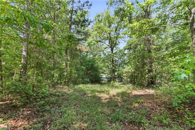 2138 Montevallo, Centreville, AL 35042