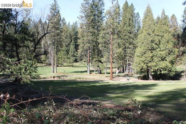 18861 Lookout Dr, Twain Harte, CA 95383