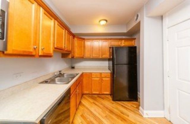 1127 N Christiana Avenue 2, Chicago, IL 60651