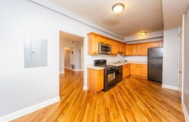 1127 N Christiana Avenue 2, Chicago, IL 60651