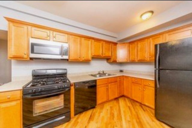 1127 N Christiana Avenue 2, Chicago, IL 60651