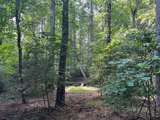 L 10&16 Josie Drive, Blairsville, GA 30512