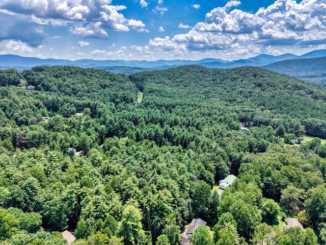 L 10&16 Josie Drive, Blairsville, GA 30512