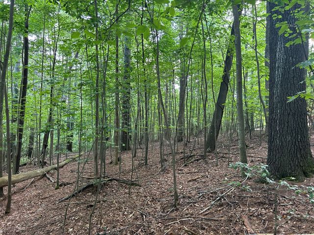 L 10&16 Josie Drive, Blairsville, GA 30512