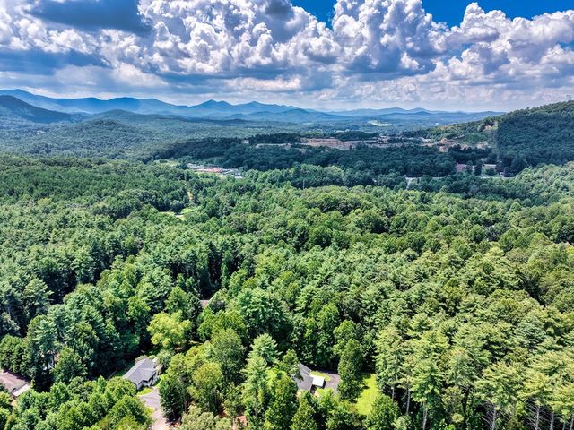 L 10&16 Josie Drive, Blairsville, GA 30512